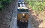 The old trestle bridge was rumbling as CSX 865 blasted underneath